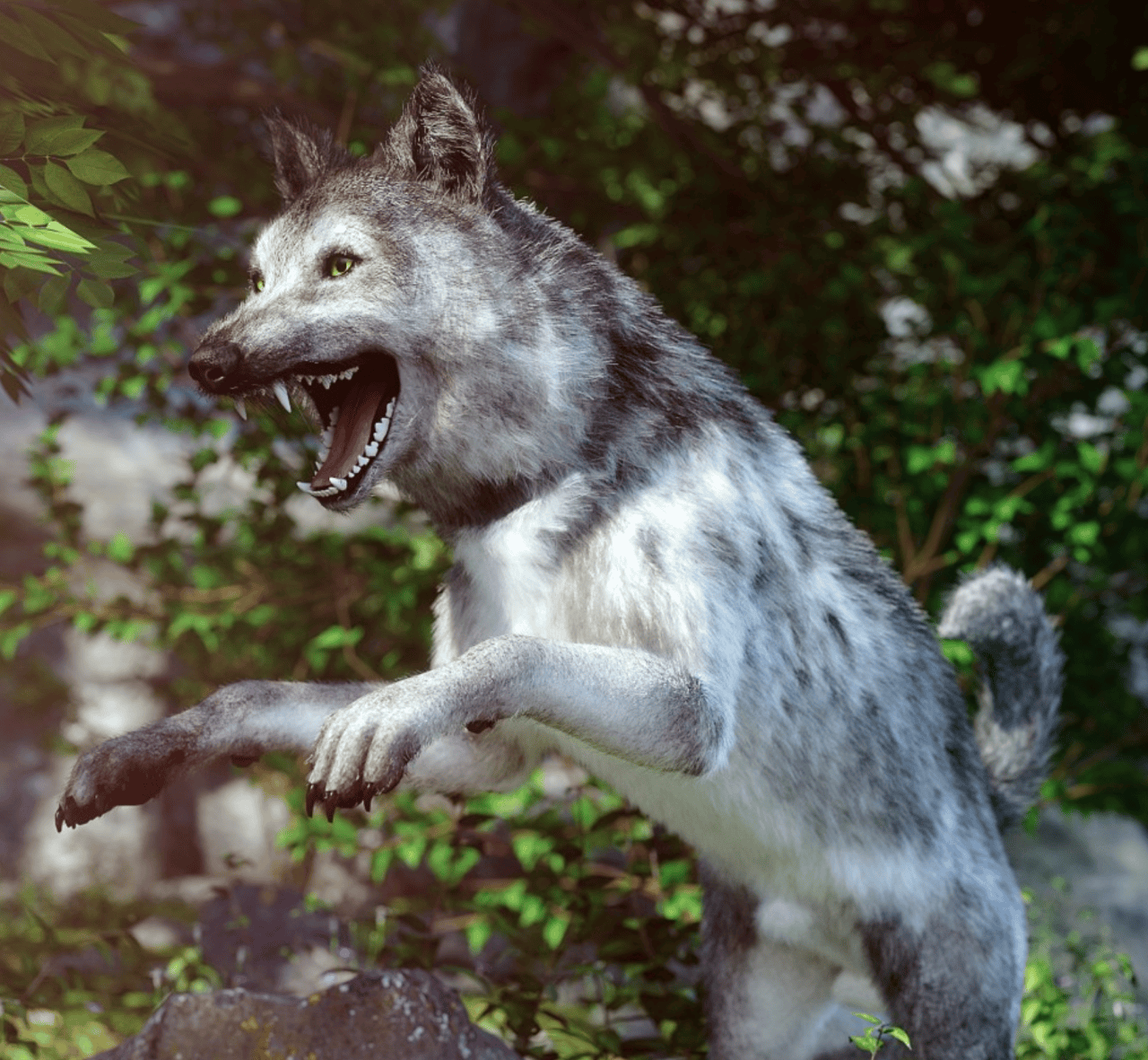grey wolf 3d model for daz dog 8