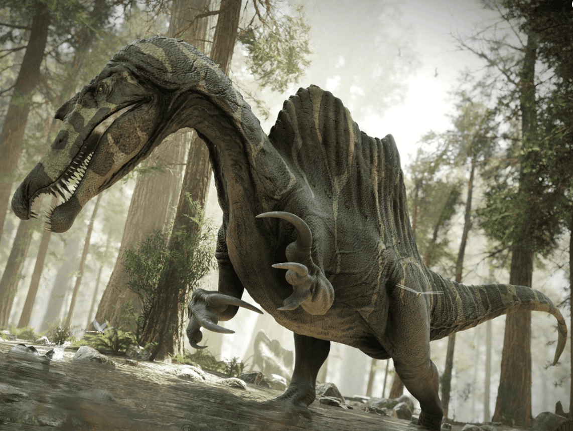 spinosaurus dinosaur 3d model