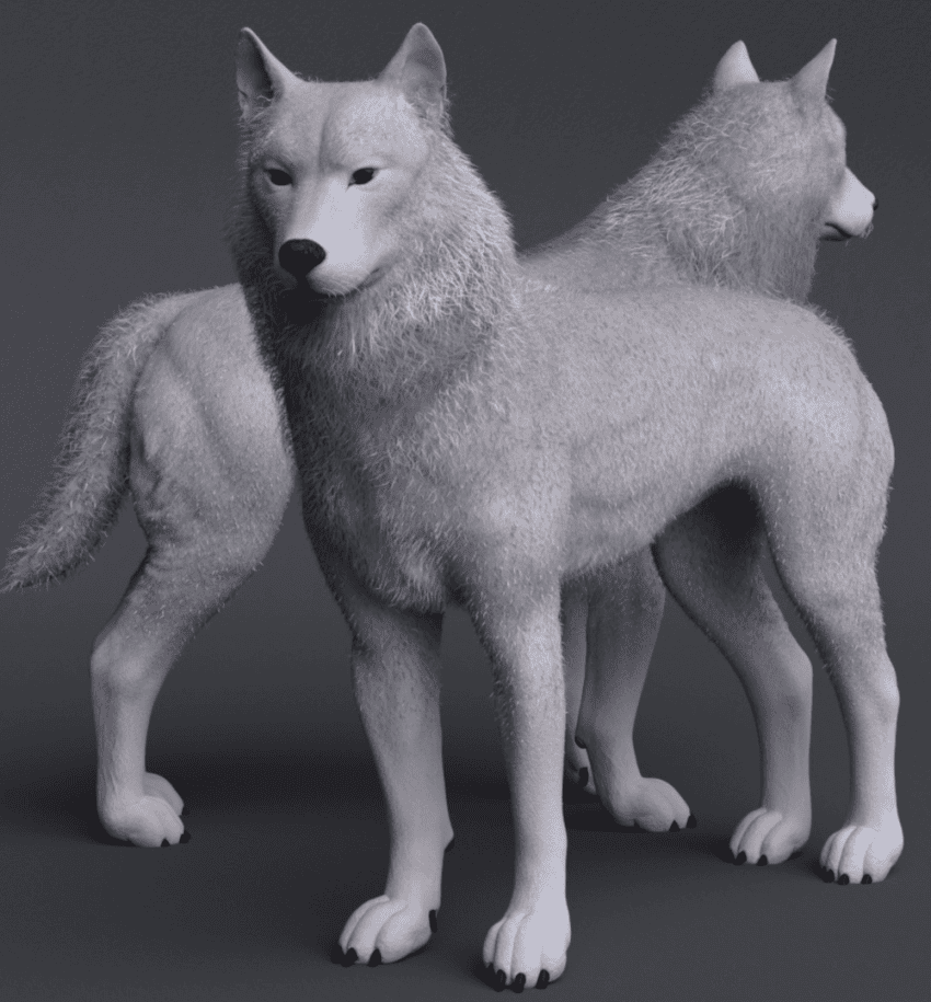 warg 3d wolf model for daz dog