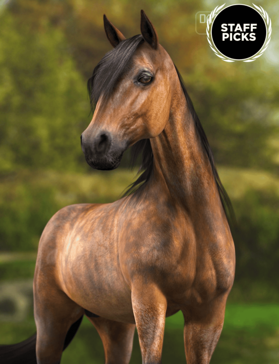 3d model of a horse for daz studio