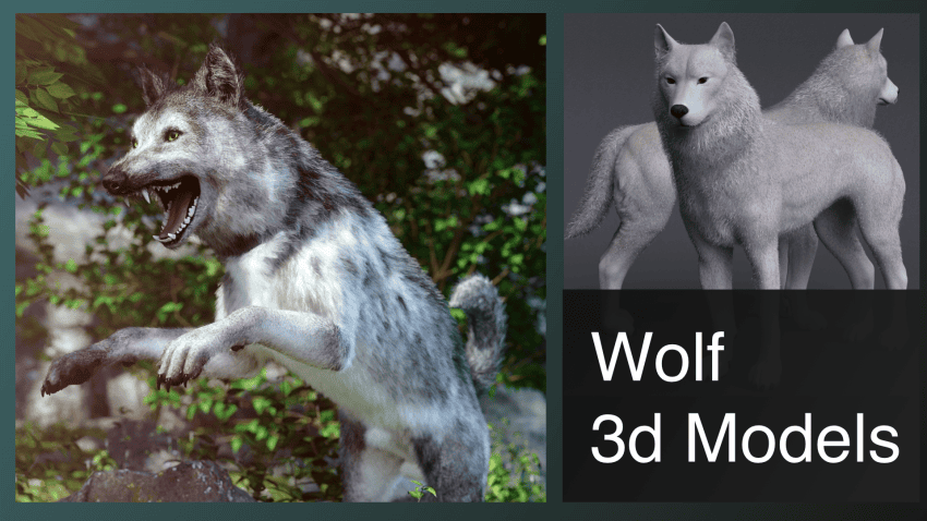 top wolf 3d models